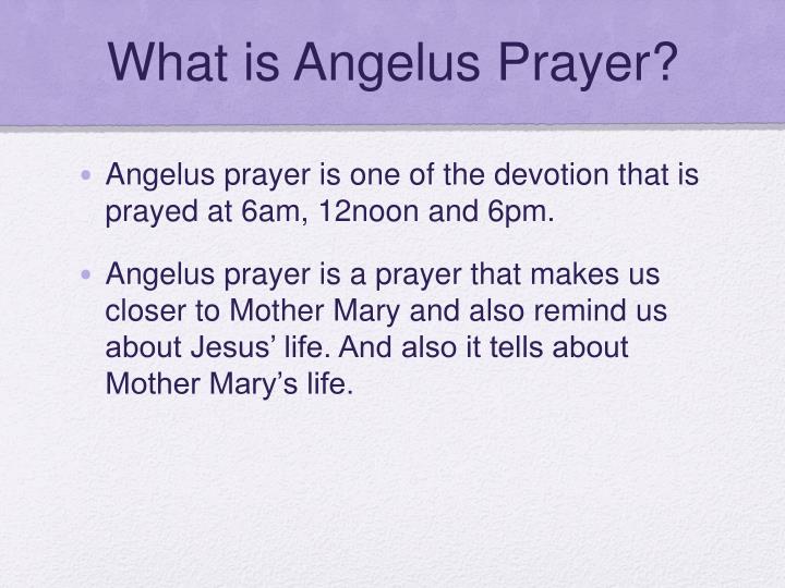 PPT Angelus Prayer PowerPoint Presentation ID2866042