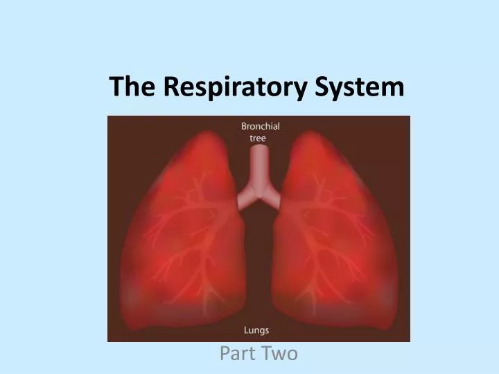 Respiratory System Powerpoint Templates Free Download - Free Templates ...