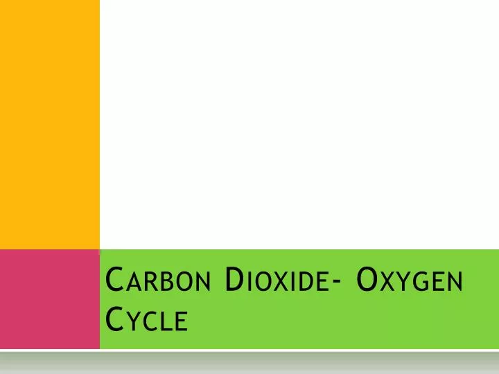 carbon dioxide oxygen cycle n.