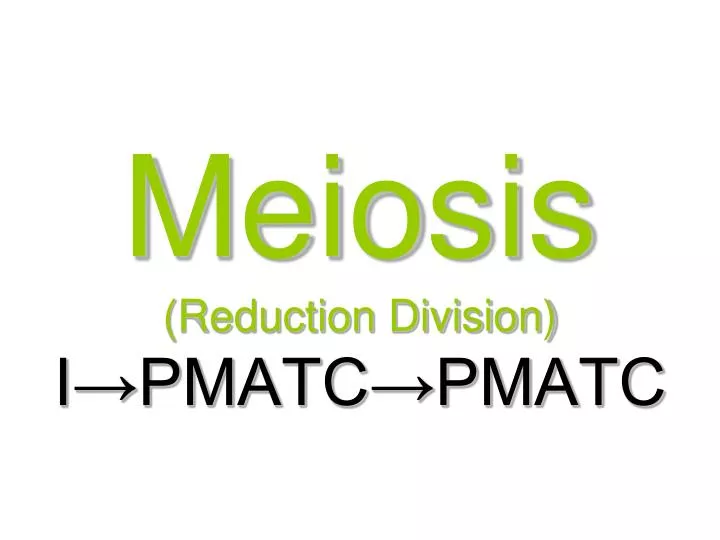 Ppt