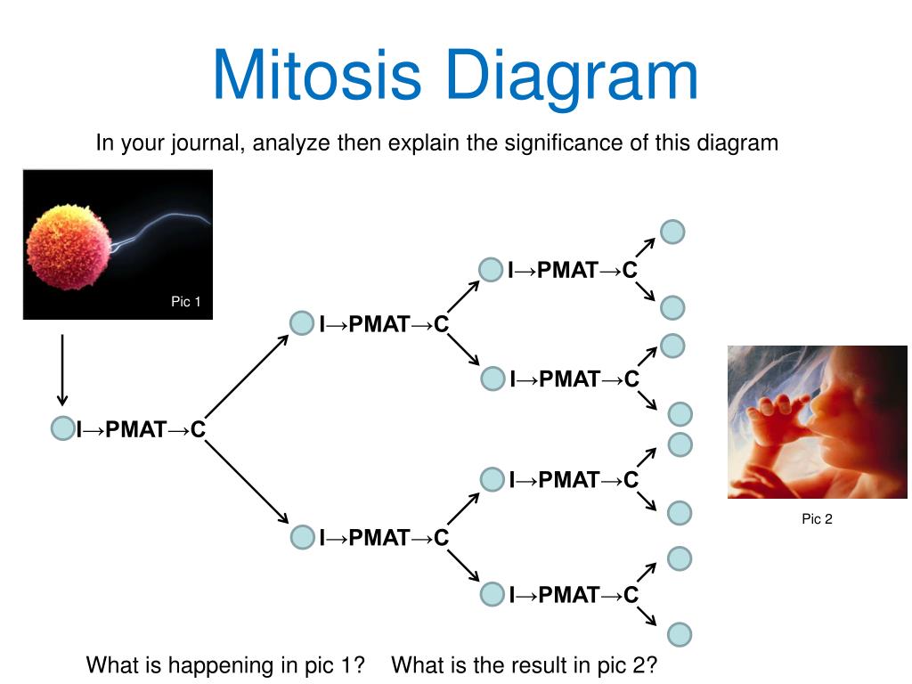 Ppt