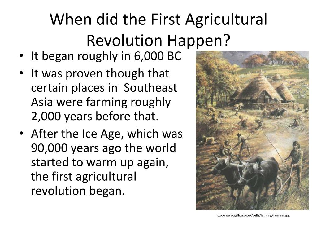 why did the neolithic revolution happen