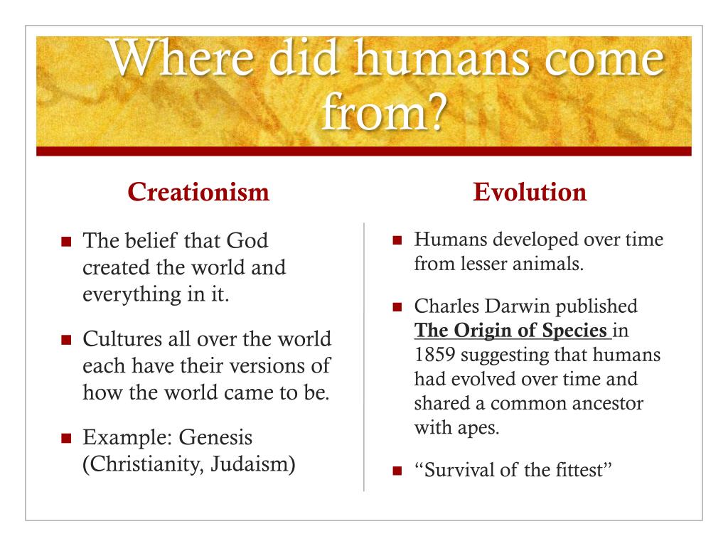 origin and development of humans