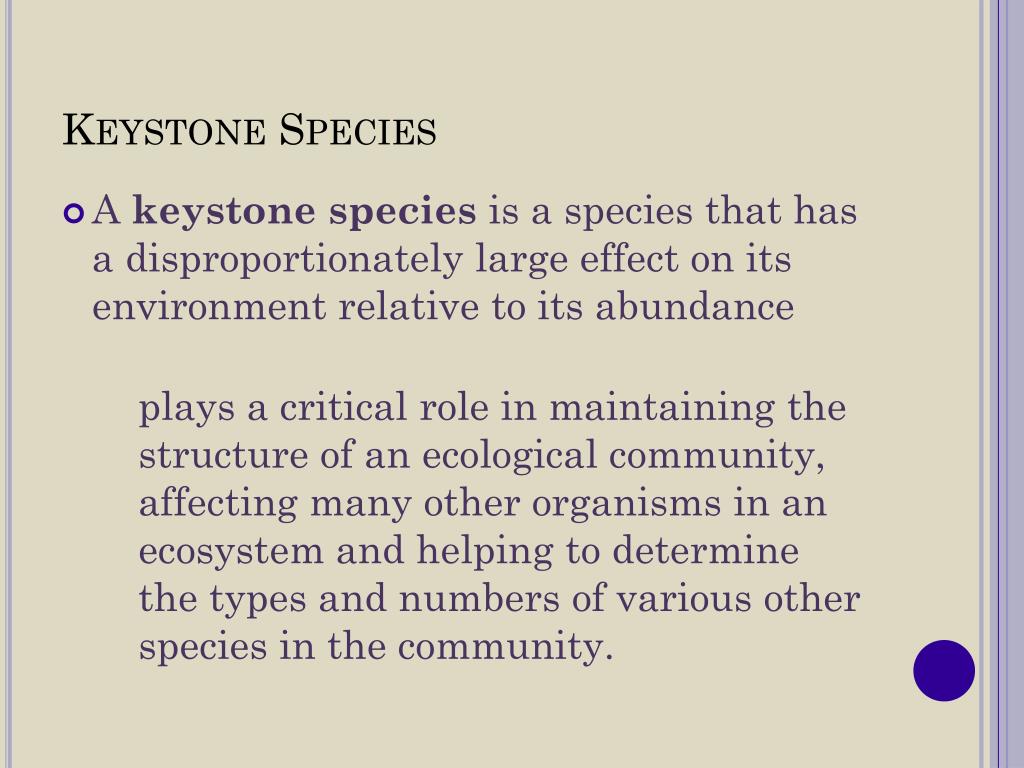 Keystone species, facts and photos