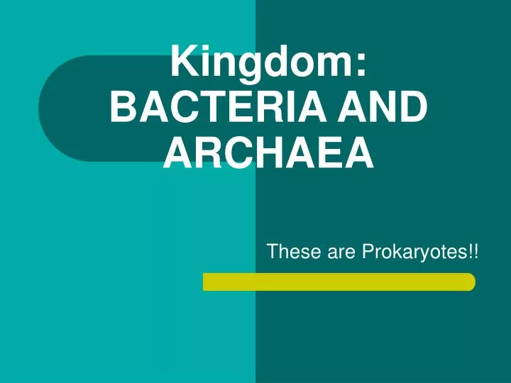 kingdom bacteria and archaea n.
