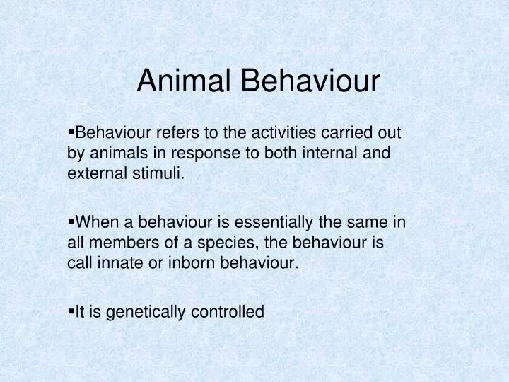 PPT - Animal Behaviour PowerPoint Presentation, free download - ID:2885264
