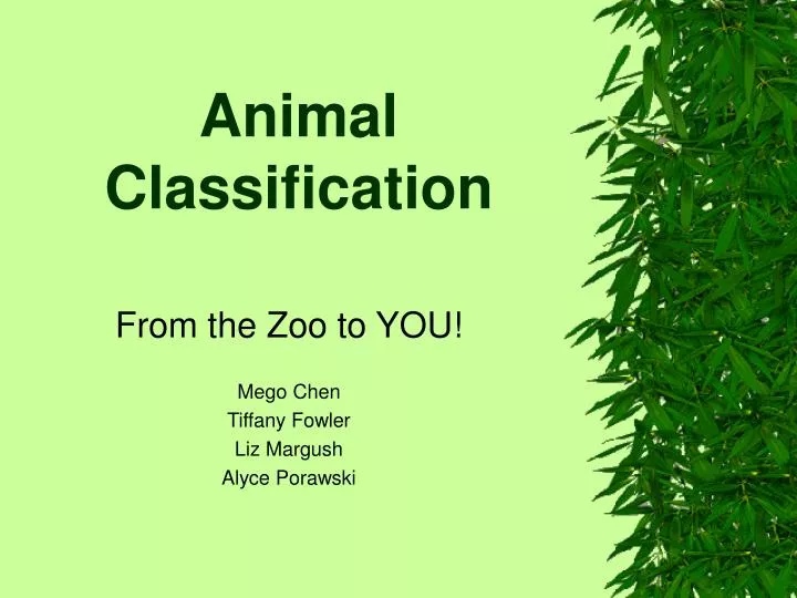 wildlife ppt presentation free download wildlife ppt presentation free download