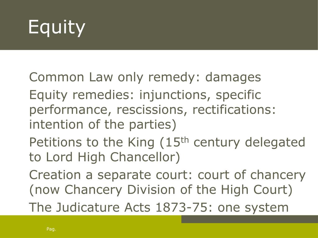constitutional equality constitutional equality