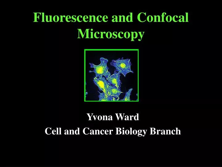 PPT - Fluorescence and Confocal Microscopy PowerPoint Presentation, free  download - ID:2885618