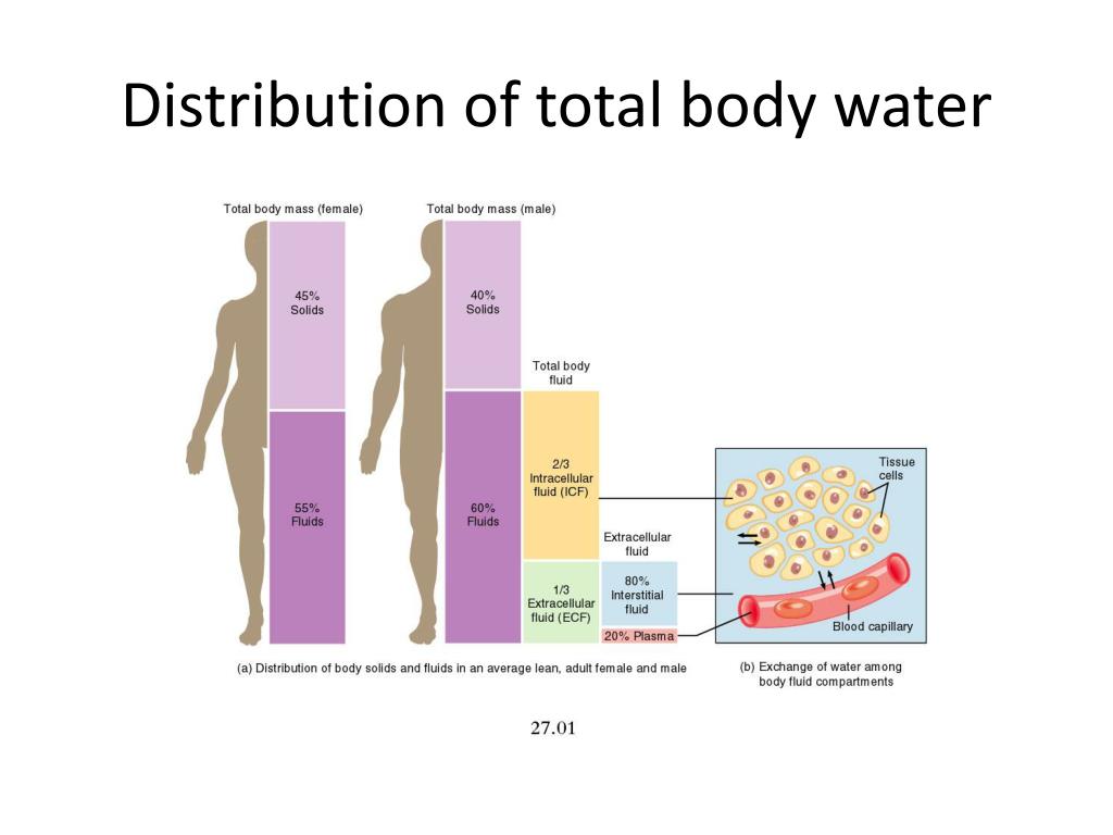 why is volume of distribution important