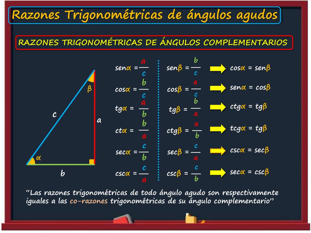 Razones Trigonometricas De Un Angulo Agudo Tareas Universitarias Images
