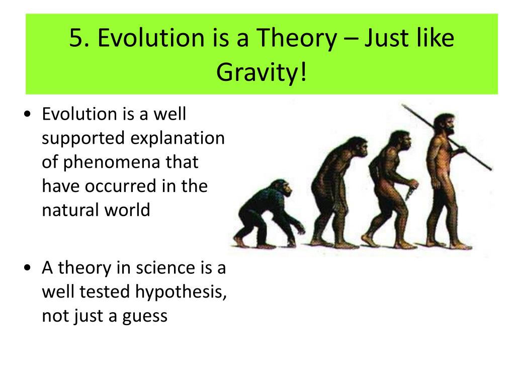 the theory of evolution states that species change over time