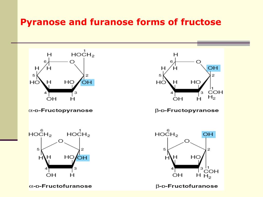 Characteristic 1 H NMR spectra of β- d -ribofuranosides and  ribonucleosides: factors driving furanose ring conformations - RSC Advances  (RSC Publishing) DOI:10.1039/D2RA04274F