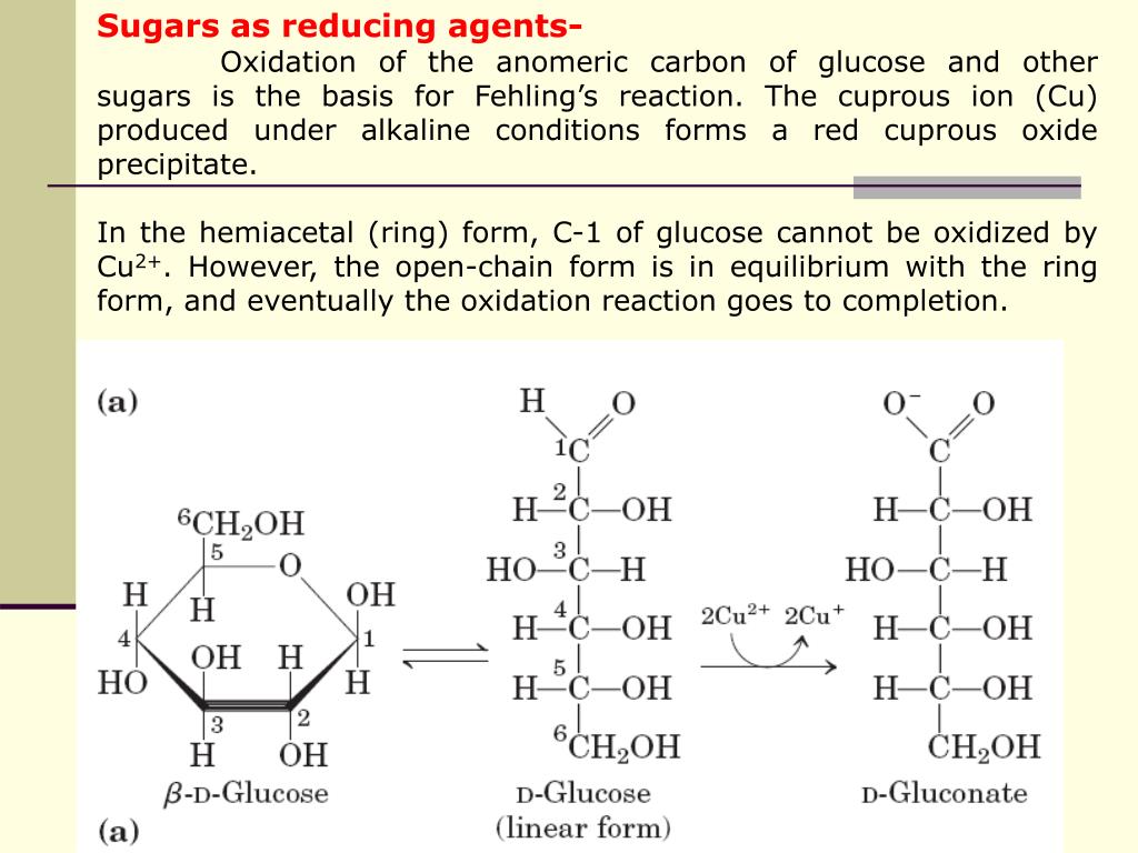Глюкоза глюконовая кислота реакция. Линейная форма фруктозы. Циклическая форма Глюкозы. Восстанавливающие моносахариды. Глюконовая кислота функциональная группа.