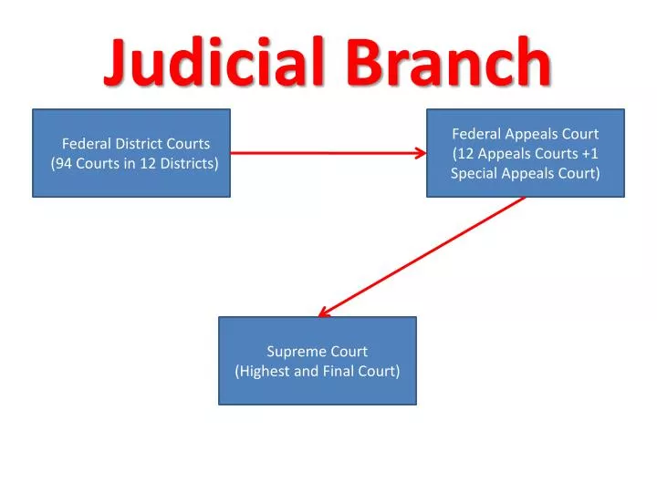 apakah forex termasuk judicial branch apakah forex termasuk judicial branch