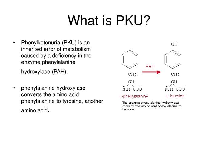 Phenylketonuria PKU Disease