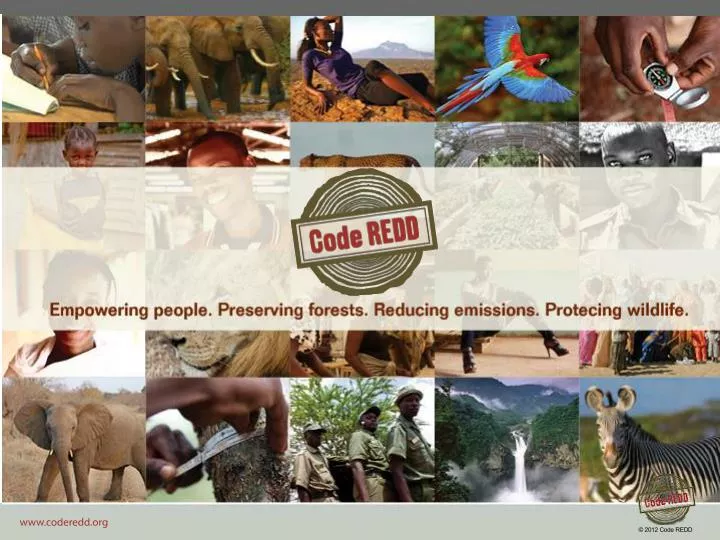 wildlife framework Legal framework for international trade in fauna & flora of other derivatives of wild life is restricted and can be made only with prior permission of dgft. wildlife framework Legal framework for international trade in fauna & flora of other derivatives of wild life is restricted and can be made only with prior permission of dgft.