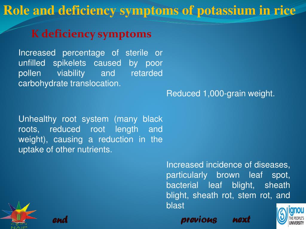 PPT - Role and deficiency symptoms of potassium (K) in rice PowerPoint ...