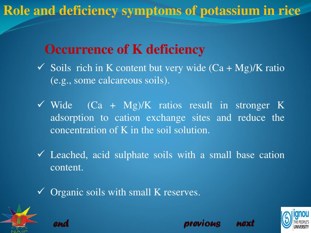 PPT - Role and deficiency symptoms of potassium (K) in rice PowerPoint ...