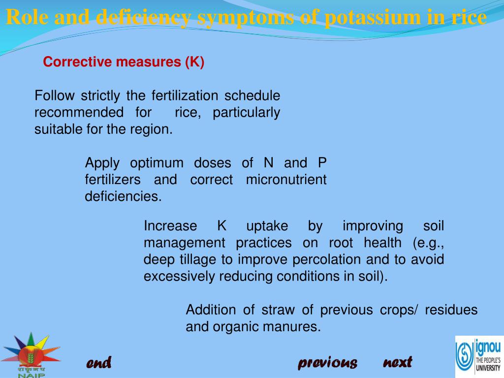 PPT - Role and deficiency symptoms of potassium (K) in rice PowerPoint ...