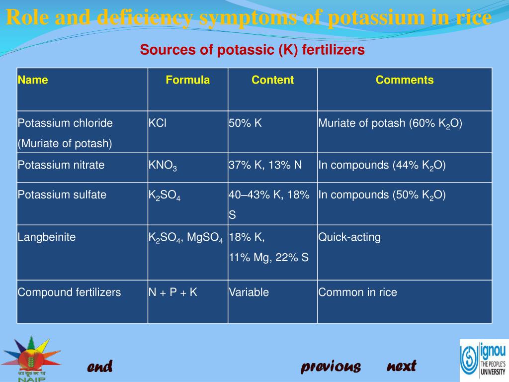 Potassium Deficiency In Rice PPT - Role and deficiency symptoms of potassium (K) in rice PowerPoint ...