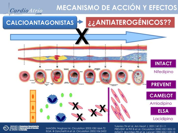 PPT - CALCIOANTAGONISTAS E IVABRADINA PowerPoint Presentation - ID:2916435