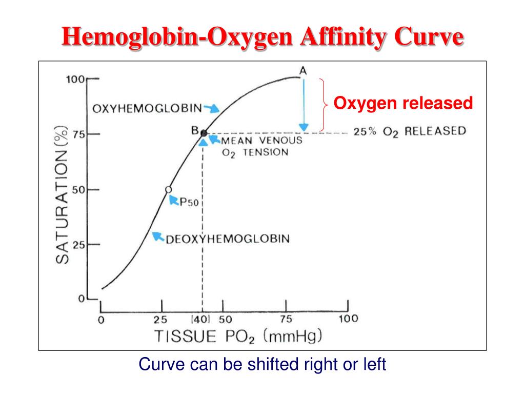 PPT - Introduction to Erythrocyte Metabolism PowerPoint Presentation ...