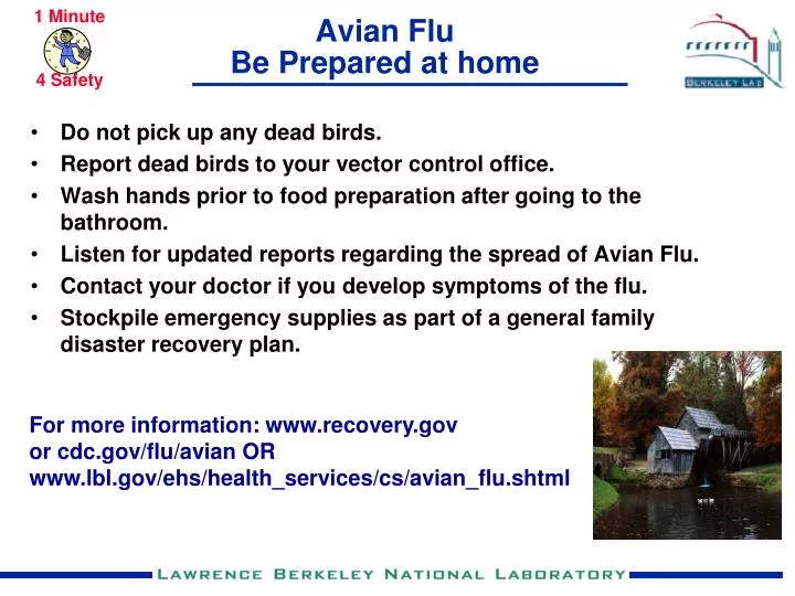 avian flu be prepared at home n.