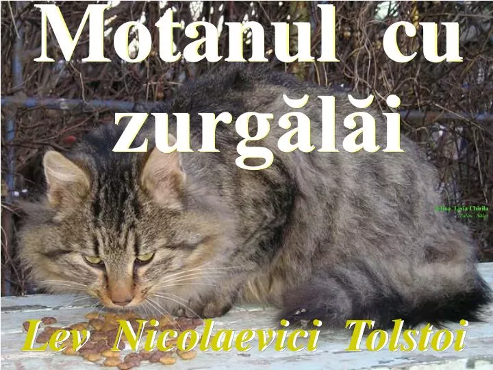 Discrepancy Make life large PPT - Motanul cu zurgălăi PowerPoint Presentation, free download -  ID:2917310