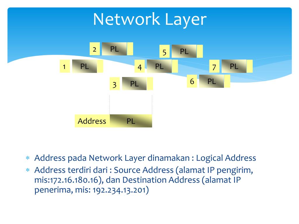 Pl network