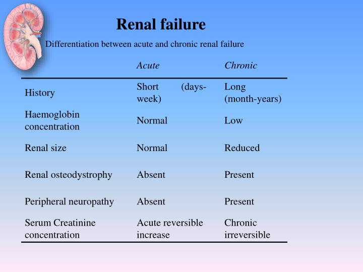 renal failure essays Acute renal failure - acute renal failure, also known as acute kidney injury is described to be a rapid loss of kidney function, or a rapid decline in renal filtration function the first. renal failure essays Acute renal failure - acute renal failure, also known as acute kidney injury is described to be a rapid loss of kidney function, or a rapid decline in renal filtration function the first.