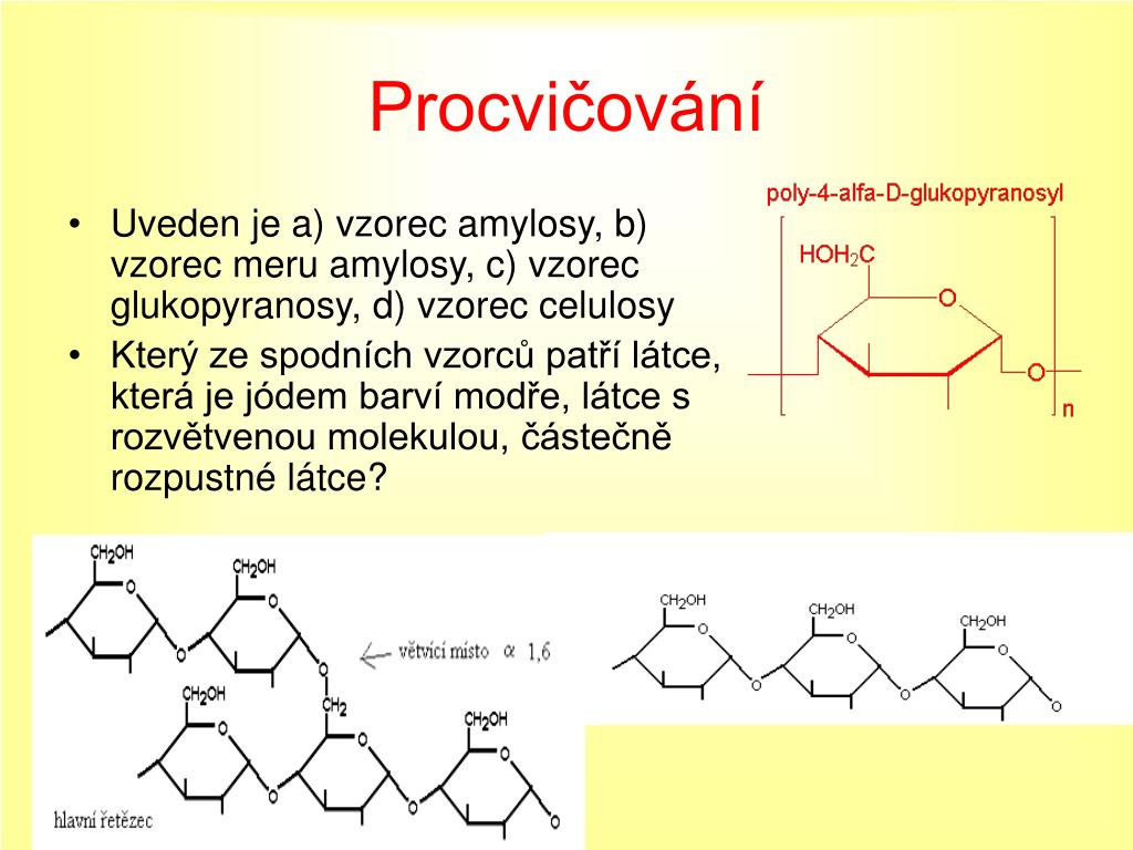 datování alfa muž