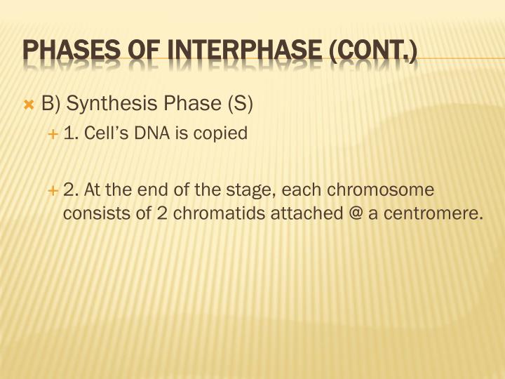 PPT - Plant Cell Structure and Cell Processes PowerPoint Presentation ...