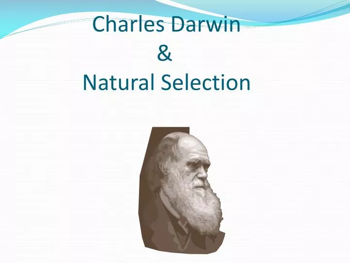 PPT - Charles Darwin & Natural Selection PowerPoint Presentation - ID ...