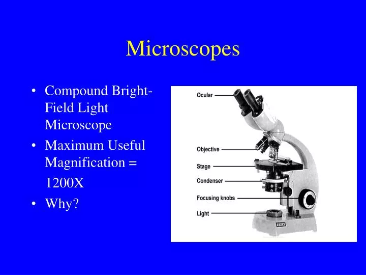ppt microscopes powerpoint presentation id 2924496 microscopic powerpoint