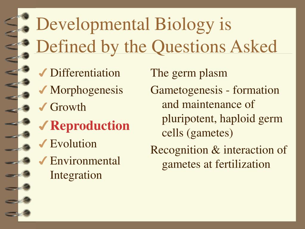 PPT Developmental Biology PowerPoint Presentation, free download ID2924625