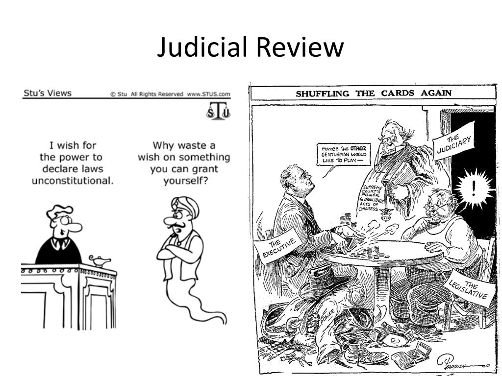 judicial review case meaning