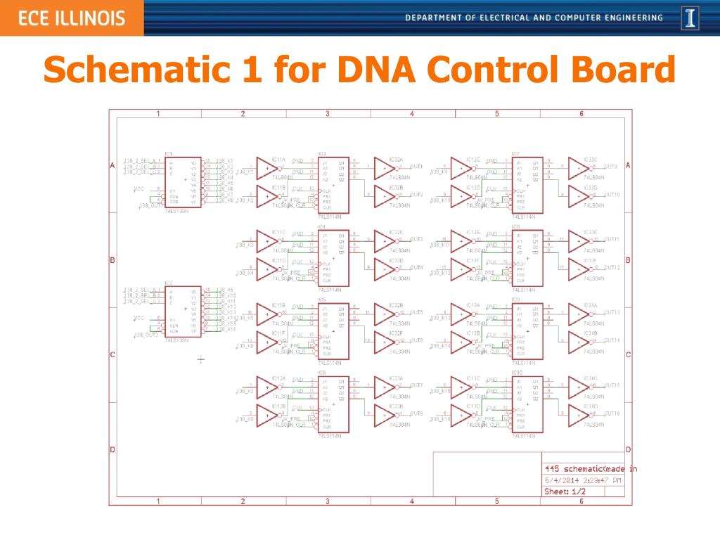 PPT - Team 20 : A dvanced Gel Electrophoresis PowerPoint Presentation ...