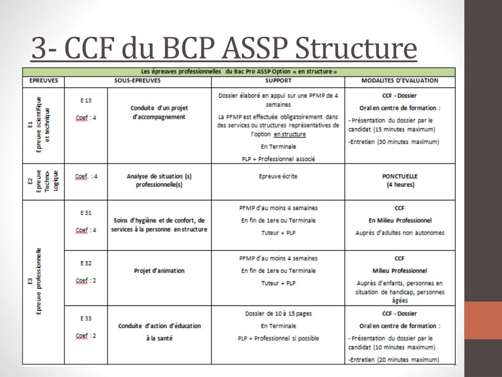 Exemple Sujet E32 Bac Pro Assp Domicile Le Meilleur Exemple