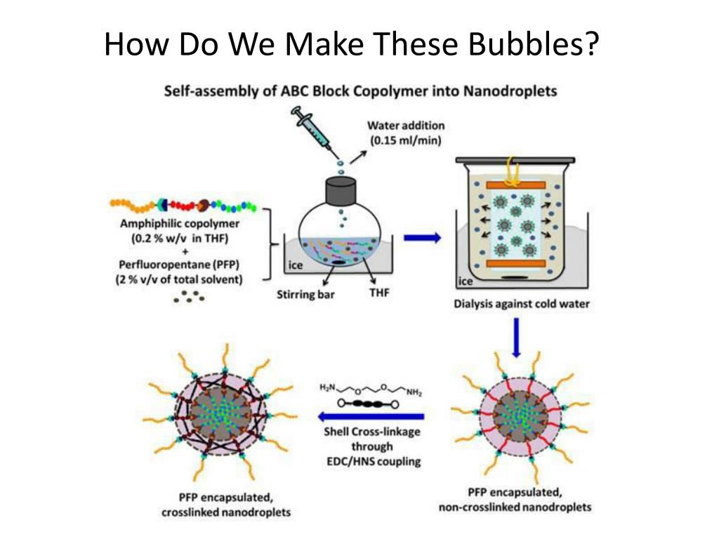 PPT - Ultrasound Imaging (Contrast Agents and Therapy) BIOE 498/598 DP ...