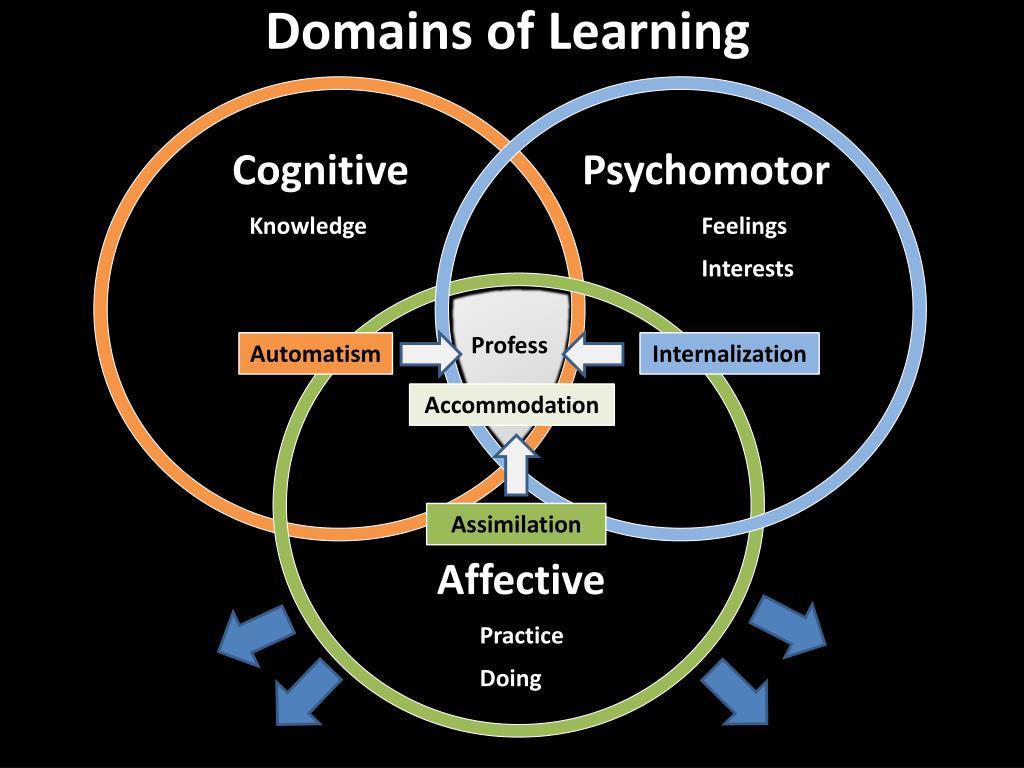 Four Domains Of Teaching