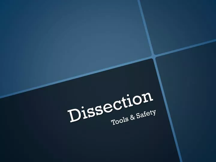 dissection n.