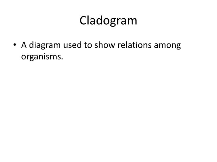 ppt bell work powerpoint presentation id 2928104 blank cladogram