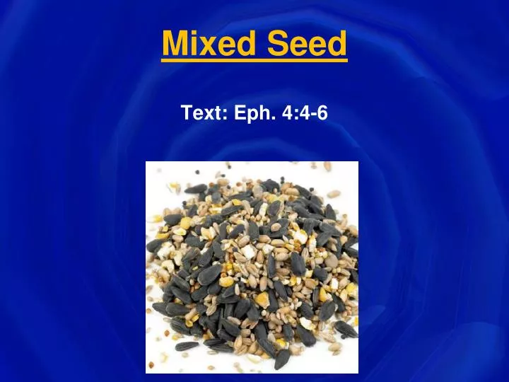 mixed seed n.