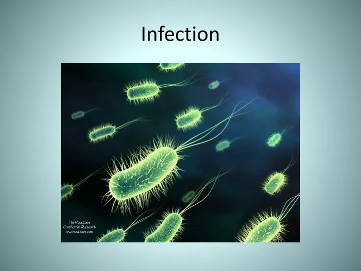 PPT  Infection PowerPoint Presentation, free download  ID2928336