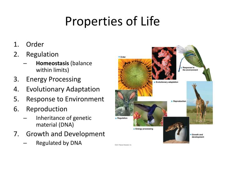 Ppt introduction themes in the study of life powerpoint presentation 