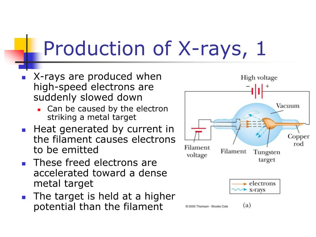 PPT Chapter 27 PowerPoint Presentation, free download ID2929126