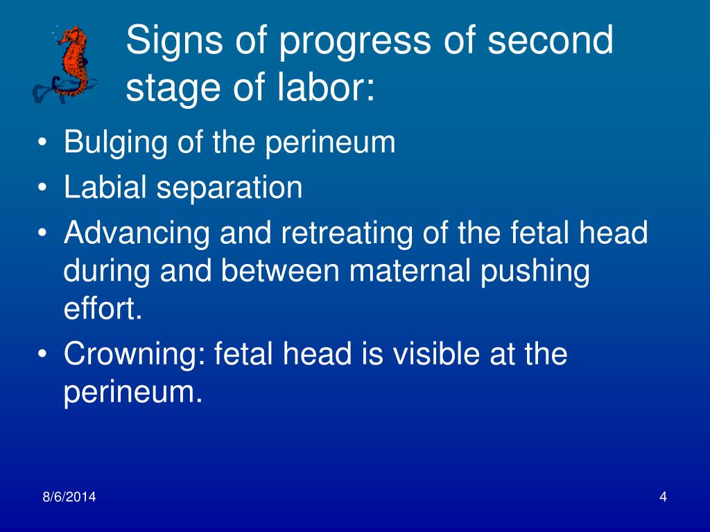 Ppt Management Of The Second Stage Of Labor Powerpoint Presentation Free Download Id Ppt Management Of The Second Stage Of Labor Powerpoint Presentation Free Download Id