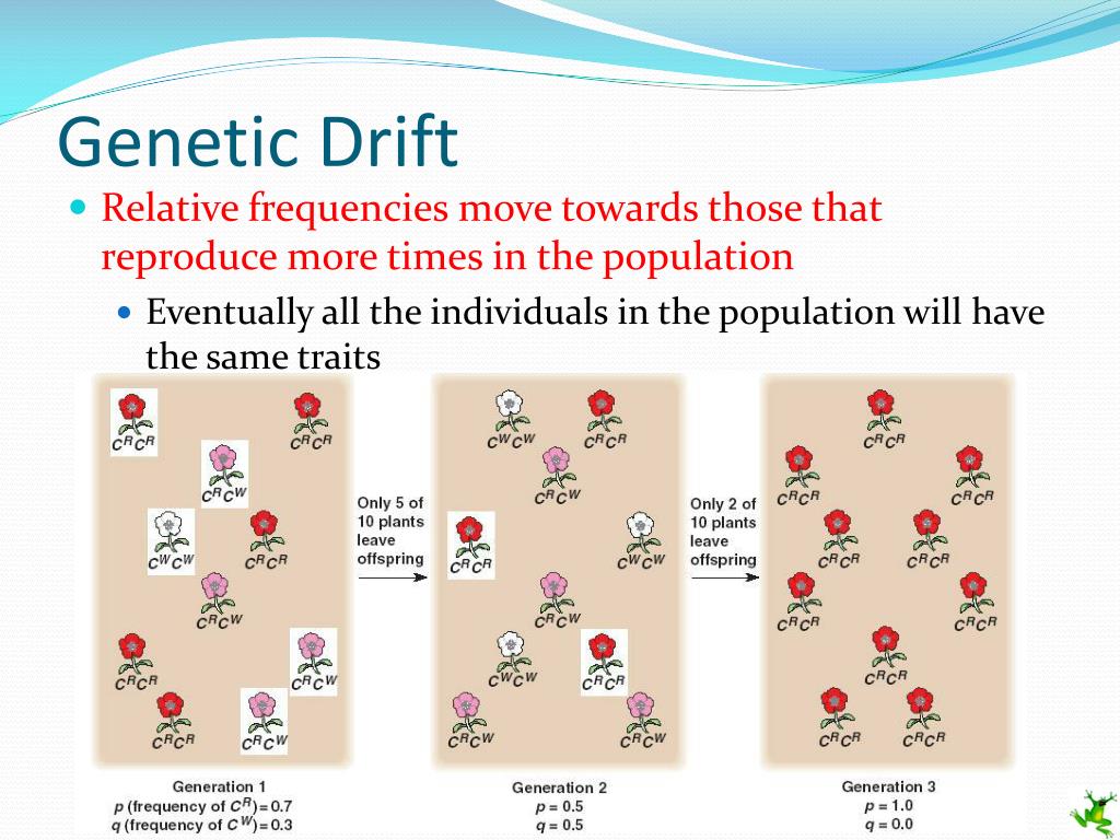 PPT Population Genetics PowerPoint Presentation Free Download ID PPT Population Genetics PowerPoint Presentation Free Download ID