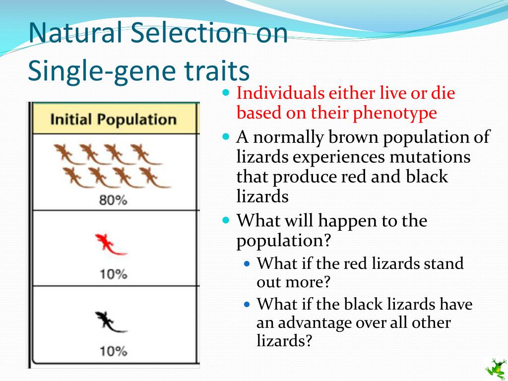ppt-population-genetics-powerpoint-presentation-free-download-id-2929628